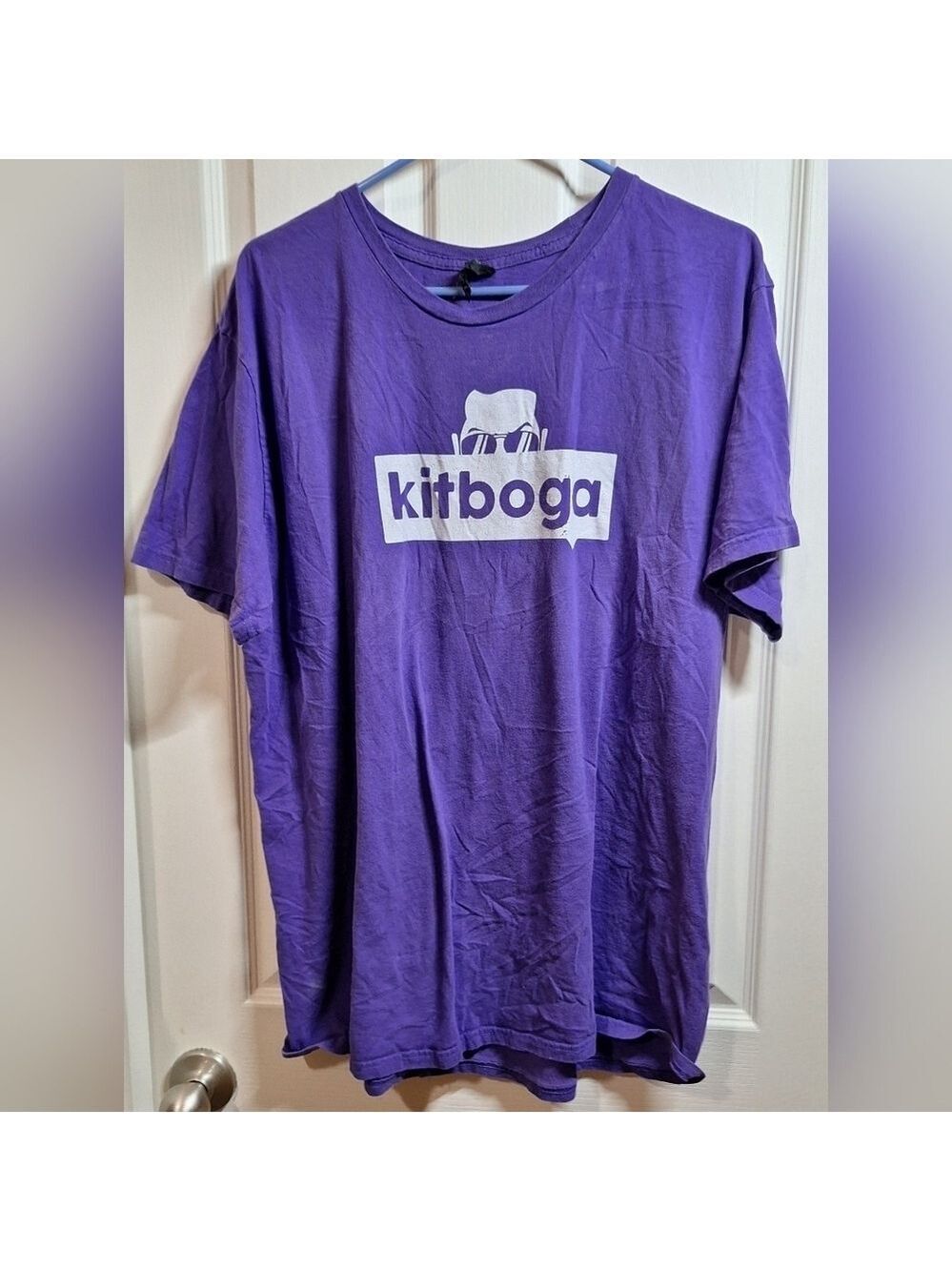 Hanes Purple Kitboga T-Shirt 2XL